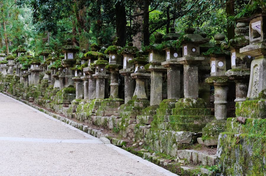 Rows of moss covered stone lanterns lining an approach at Kasuga Taisha in Nara.